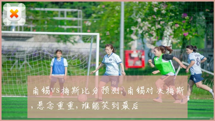 南锡vs梅斯比分预测,南锡对决梅斯,悬念重重,谁能笑到最后